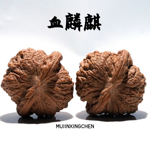 文玩核桃血麒麟精选和文玩核桃血麒麟品牌价格与图片-淘宝商品网