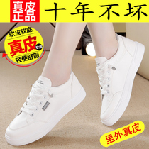 Hon Stars and Kerch Code Special Price Genuine Leather Small White Shoes Woman 2022 Spring new flat bottom plate Shoe sports casual shoes female
