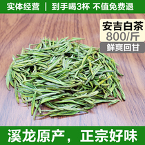 Anji White Tea-800 Jin Guijia Tea New Tea Xilong Original Glycol Fresh Quality Rations Boutique Good Tea