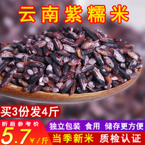 Buy 3 Get 1 Free Yunnan Purple Glutinous Rice Five Grains 2022 New Rice Farm Purple Rice Specialty Coarse Grain Blood Glutinous Rice Black Rice
