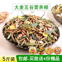 -jiexi rabbit food lop-eared rabbit feed 20 grain young rabbit into rabbit food pet rabbit food province 2 5kg-