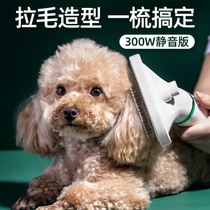Dog hair dryer Hair pulling artifact Quick-drying Pet shop special cat silent silent water blower to give a bath