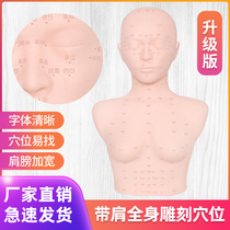 Beauty Salon practice technique dummy head model skin management massage face carving acupoint with shoulder doll head