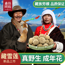 Tibetan snow lotus Tibetan snow lotus white snow lotus Chinese medicinal materials non-Tianshan Snow Lotus 250 grams