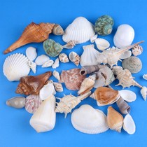 Natural shell conch Sea Star Childrens handmade fish tank decoration ornaments diy material bag