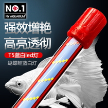 no1 Qinfeng butterfly carp special blue and white lamp Ultra-white led lamp Full spectrum waterproof diving lamp brightening lamp