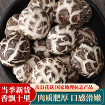 Fangxian small mushroom dry goods Shennongjia basswood mushroom 500g farmhouse dried mushroom Mushroom Mushroom mushroom