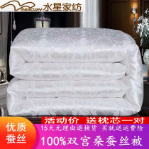 Water Star Home Textile Special Price Flush silk quilt 100% mulberry silk wedding summer cool by air conditioning quilter by spring and autumn