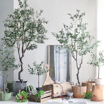 Sicilian simulation plant olive tree Nordic home decoration ornaments landing green plant large potted plants