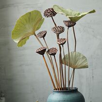 Original ecological floor-to-ceiling high branches dried flowers real poles dried showerheads with lotus seeds living room retro Zen decorations shooting props
