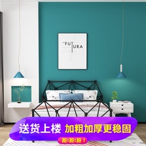 Modern simple light luxury European-style wrought iron bed apartment rental homeowner bedroom second bedroom metal bed Net red thickened double bed