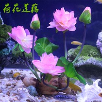 The decoration in the fish tank is emulated with water and lotus lotus and lotus seeds build the home furnishing plastic fake lotus lotus flower