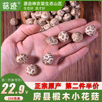 Mushroom trace Fangxian small flower mushroom 250g Hubei help agricultural specialty Shennongjia non-wild basswood mushroom Shiitake mushroom dry goods