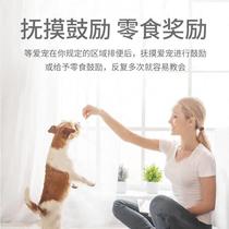 Guide cat dog fixed-point defecation and urine toilet inducer shit dog toilet training