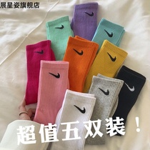 Hook socks female ins Korean version of solid color stockings Japanese cute summer thin couples sports socks