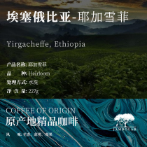 This weeks 90% discount boutique Ethiopian yagahefi hanging coffee hand washed fresh roasted cooked beans
