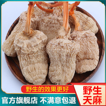 Wild Tianma Yunnan Zhaotong dry goods premium 500g natural Chinese medicine Xiaocaoba non-fresh Tianma tablets pure dry powder
