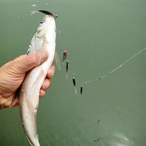Luia Fake Bait Fresh Water Through Killing Wild Fishing Teething Gui Fish Black Fish Mandarin Fish Special String Hook Thread Group Fishing Group Soft Worms Soft Bait