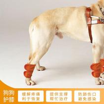 Pet knee leg pads dog postoperative recovery arthritis strap bracket support front and rear leg warm leg protector