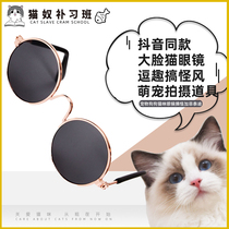 Pet dog cat glasses funny Garfield Teddy blue cat sunglasses shake sound with glasses photo props