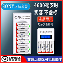 Sony rechargeable battery No 5 No 7 Universal set toy remote control KTV wireless microphone Rechargeable battery No 5