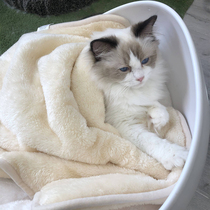 Cat blanket small quilt pet blanket cat blanket cat sleeping winter warm dog blanket special blanket mat