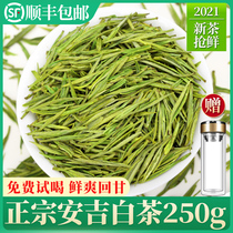 2021 new tea Anji white tea authentic Mingqen special green tea Alpine rare white tea spring tea bulk 250g bulk
