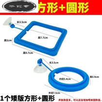 Fish tank Feeding ring Feed feeding ring Floating feed Non-proliferation feeder Feed buoyancy ring with suction cup