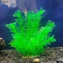 Plant small soft decorative fish tank Landscaping Plastic fake landscaping Flowers and plants Simulation fake grass ornaments Aquatic plants Aquatic plants Aquatic plants Aquatic plants Aquatic plants Aquatic plants Aquatic plants Aquatic plants Aquatic plants Aquatic plants Aquatic plants Aquatic plants Aquatic plants Aquatic plants Aquatic plants Aquatic plants Aquatic plants Aquatic plants