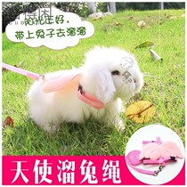 Sliding rabbit rope out rope walking rabbit Dutch pig traction rope