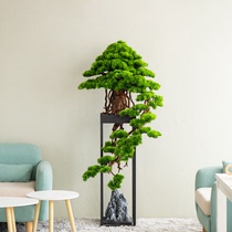 Large welcome pine floor ornaments villa hotel club false tree decorations simulation plant bonsai green plant potted plants