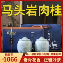 Ma Tau Rock Cinnamon Dahongpao Tea Premium Wuyi Mountain fruit Rock Tea Fujian Oolong Tea Graduation gift box