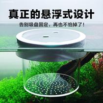 Acrylic fish tank isolation box Small suspended household protection small fish seawater box Aquarium transparent incubator