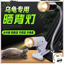 uvb chameleon color box environment land tortoise box reptile ceramic lamp heating bulb mane lion infrared insulation lamp pet