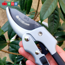 Sagawa Tin 869 pruning scissors pulley labor-saving fruit tree branch scissors horticultural pedicle garden bonsai tool