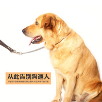Stainless steel P chain explosion-proof training Dog Professional P-chain medium and large dog batch chain p rope dog leash dog traction rope
