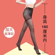 2-strip lengthy stockings summer cored silk female tall plus size ultra-thin meat color extra 180cm plus file