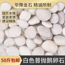 White pebble natural rainfall courtyard garden paved paved landscape decorated with white stone soft and warm stone