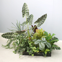 Flower trough plant custom floral outdoor flower box flower stand shop partition card slot bonsai floor-standing simulation green plant