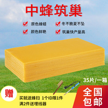 蜂蜡中蜂巢础巢基全套养蜂工具蜂蜜深房天然蜡巢脾蜂箱巢础片35片