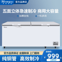 Borengus freezer Commercial large capacity refrigerator Large horizontal freezer freezer freezer Single temperature quick-freezing energy saving