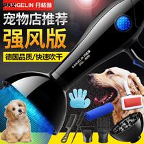 Pet hairdryer Dog Hairdrydog Hairdrying Wind drying Golden Mao Teddy Size Dog Hairdryer Supplies
