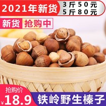 Northeast specialty small hazelnut thin skin new goods open original special Tieling dried fruit nuts wild 500g bag