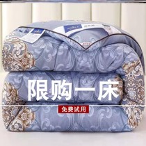 Authentic silk quilt 100 mulberry silk Spring and autumn quilt cotton quilted by core thickened winter quilt by single double 10 catty 2023