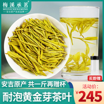 Golden bud tea authentic Anji white tea 2021 new tea green tea specialty grade Golden Leaf golden tooth gold white tea