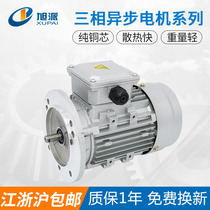 Xupai YE2-90L-4 Y2-90L-4 YS9024 three-phase asynchronous motor 1 5KW AC 380V motor