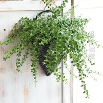 Flower pot creative personality indoor good-looking green flower blue woven basket European style dry flower pot garden wall