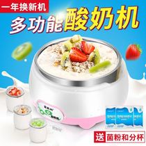 Yogurt machine cup yogurt large-capacity machine small large-capacity household fixed-liter fermentation machine multi-function Rice