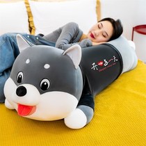 Husky plush toy dog Bear doll accompany sleeping pillow doll cute bed Doll Girl birthday gift