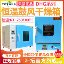 Shanghai Ye Tuo blast drying oven DHG9070A electric constant temperature oven 9140a drying oven 250 300 degrees